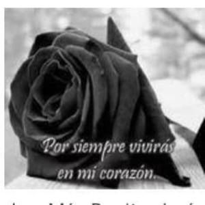 Meet your Posher, Karina